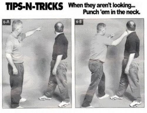 fighting_techniques