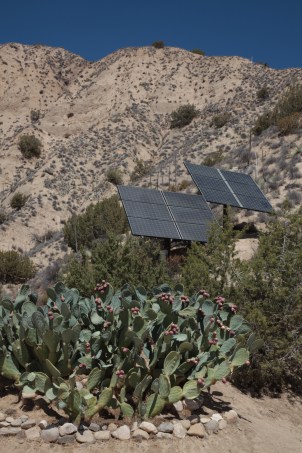 quail_springs_benny_0011